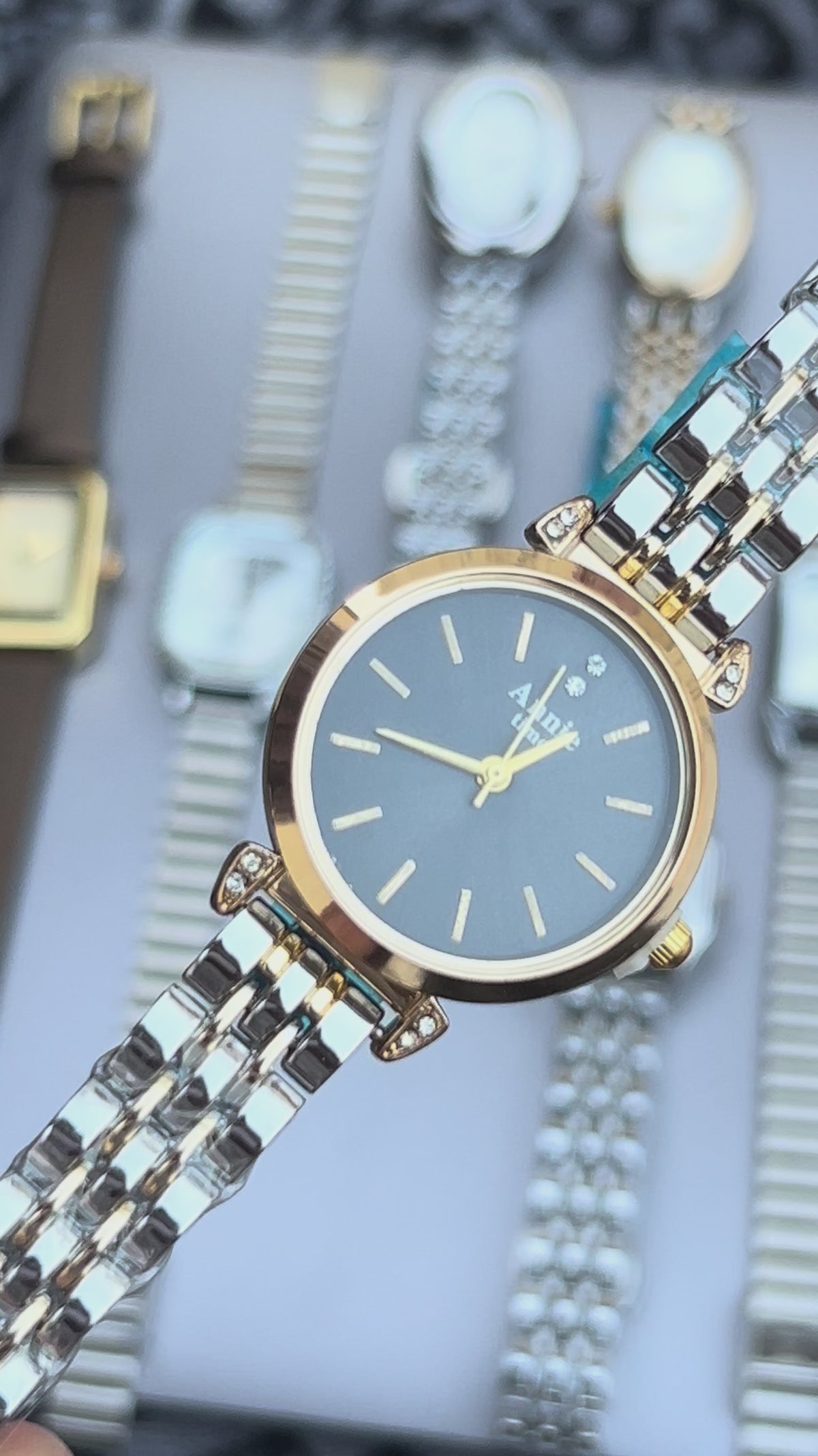 Annie Time Women's Two-Tone Quartz Watch